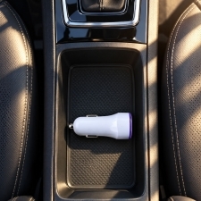 USB car charger FRUIT