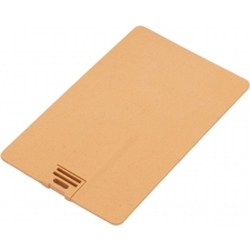 Biodegradable USB memory stick – big card