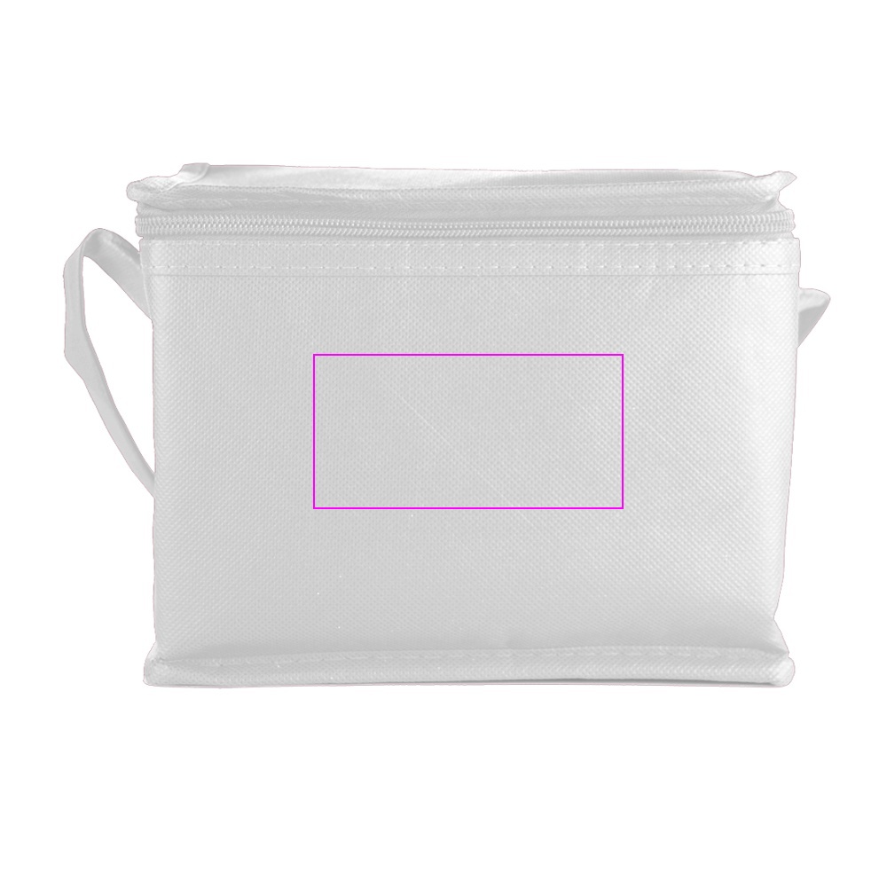 Non woven cooler bag for 6 cans 330 ml NIEBY