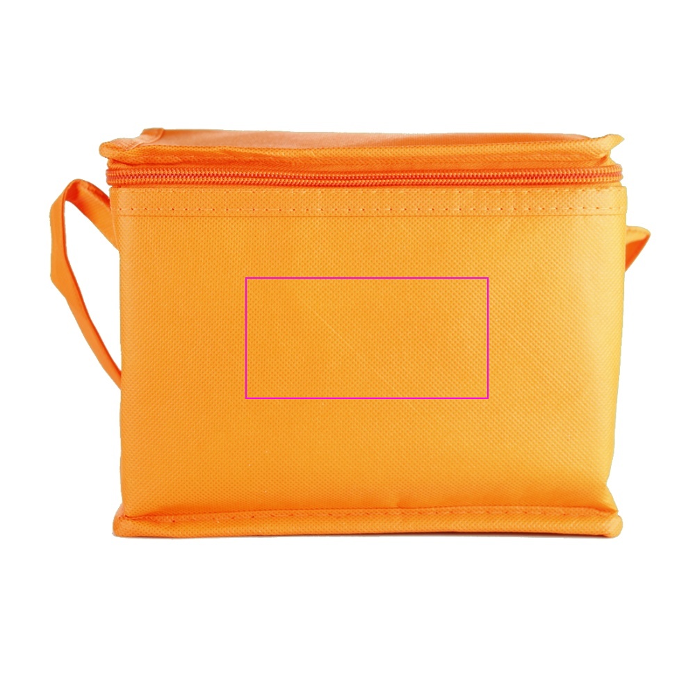Non woven cooler bag for 6 cans 330 ml NIEBY