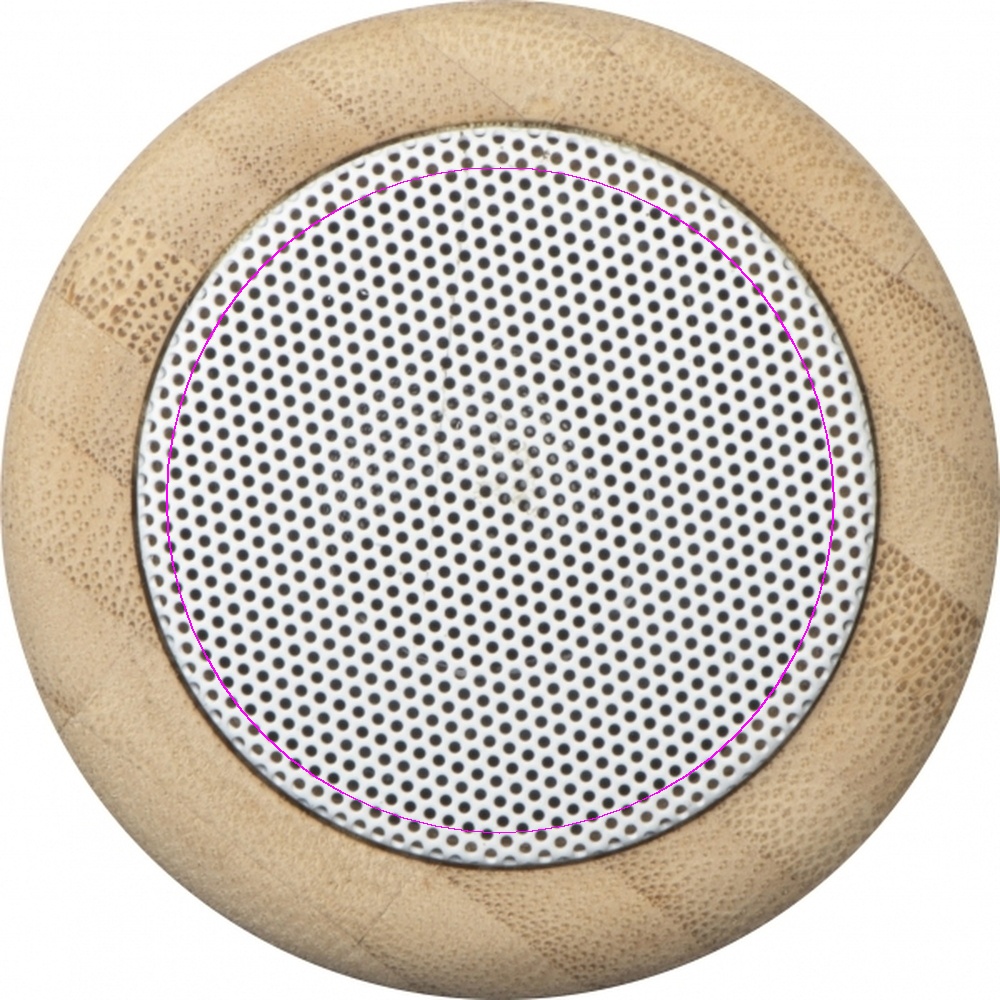 Bluetooth speaker HAARLEM