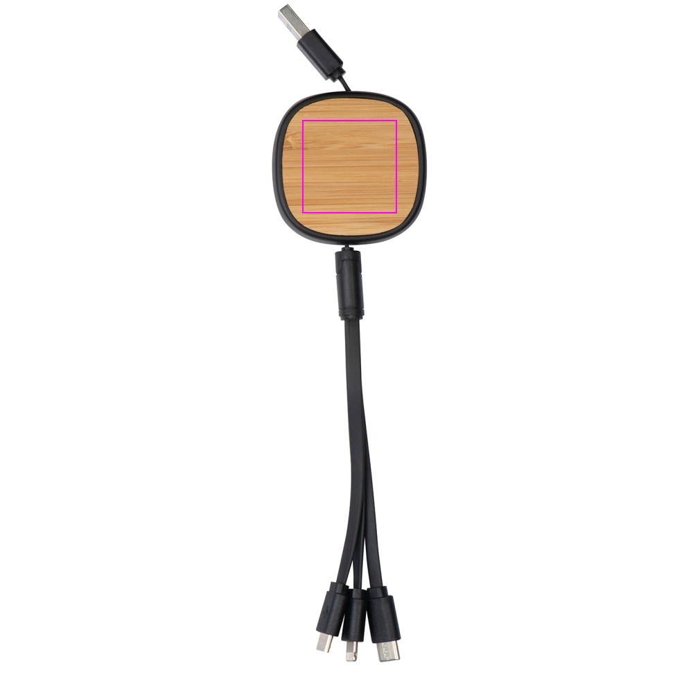 3in1 cable STRASBOURG