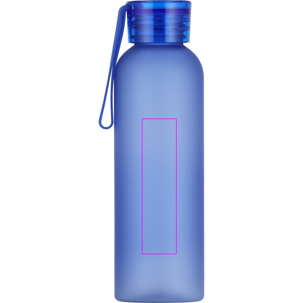 Water bottle READING 550 ml