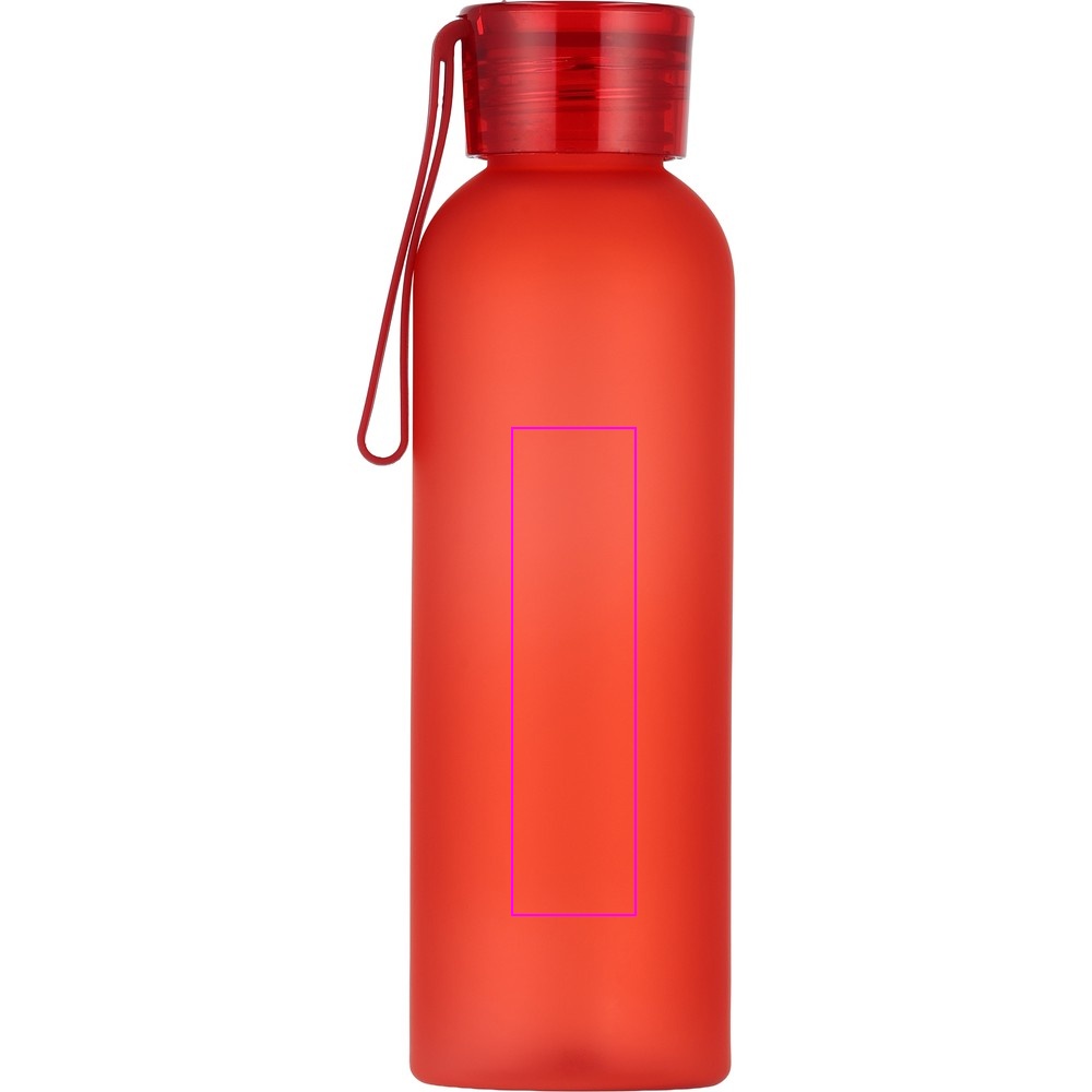Water bottle READING 550 ml