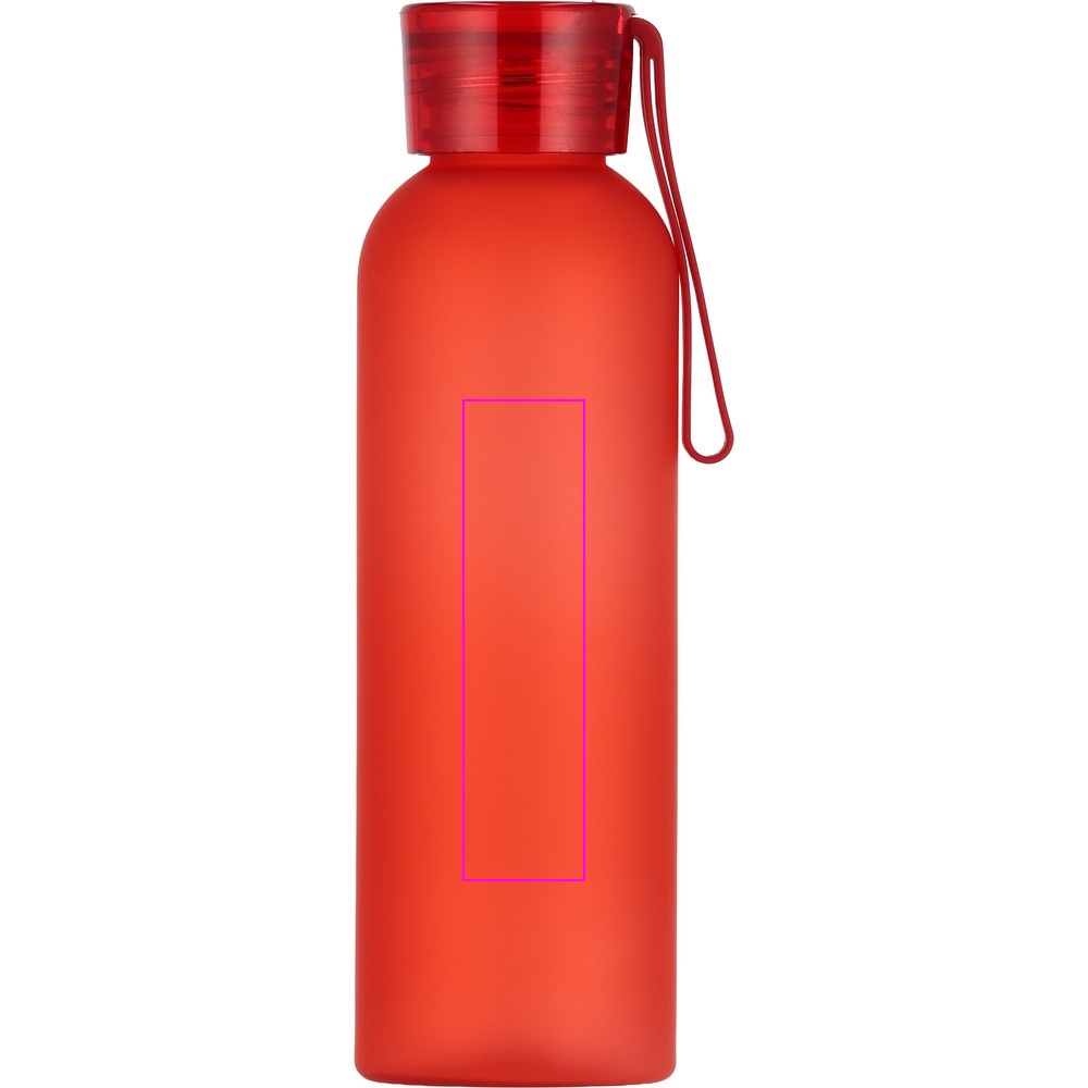 Water bottle READING 550 ml