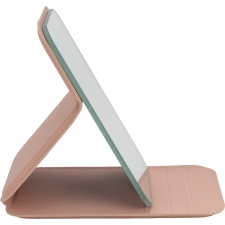 Mirror in a case