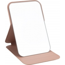 Mirror in a case