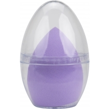 Makeup sponge case with sponge
