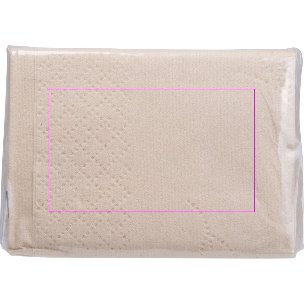 Tissues 10 pcs. MIDLAND